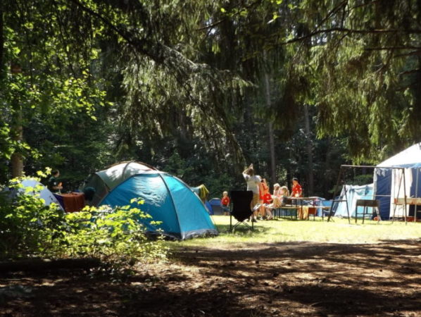 Sprachcamps