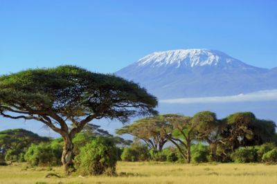 Tansania entdecken: Diese 5 Highlights solltest du nicht verpassen