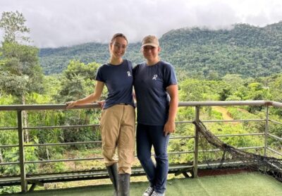 Geförderte Volunteer-Einsätze jetzt möglich