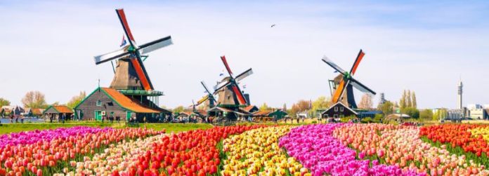 auswandern-niederlande