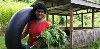 Freiwilligenarbeit auf Fidschi
