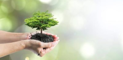 Freiwilligenarbeit im Bereich Tiere und Umwelt